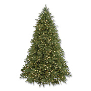 National Tree Company Pre-Lit Grande Fir Pencil Slim Tree, 78" x 78" x 108", Green Tree, Green Tree Stand (PEJF130090)