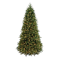 National Tree Company Pre-Lit Jersey Fraser Fir Slim Tree, 43" x 43" x 78", Green Tree, Green Tree Stand (PEJF130465)