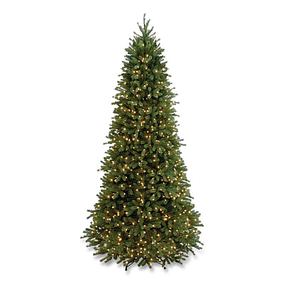 National Tree Company Pre-Lit Jersey Fraser Fir Slim Tree, 57" x 57" x 108", Green Tree, Green Tree Stand (PEJF130490)