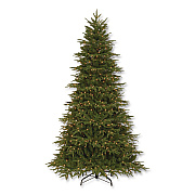 National Tree Company Pre-Lit Northern Fraser Tree, 57" x 57" x 90", Green Tree, Green Tree Stand (PENO430775)