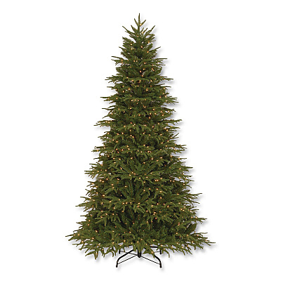 National Tree Company Pre-Lit Northern Fraser Tree, 57" x 57" x 90", Green Tree, Green Tree Stand (PENO430775)
