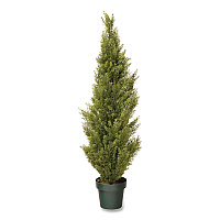 National Tree Company Cedar Topiary Tree, 13" x 13" x 53", Green Tree, Dark Green Pot (QLMC4531)