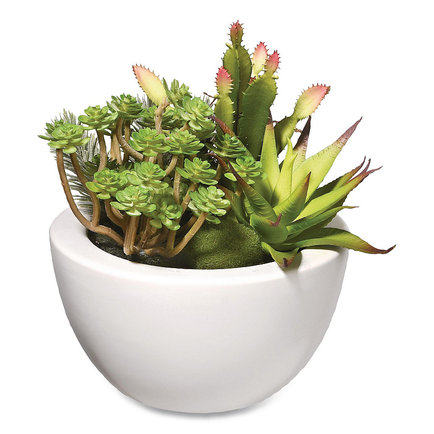 National Tree Company Spring Potted Plant, 8" x 8" x 8", Green Plant, White Pot (RASXF169W)
