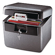 Sentry Safe Fire-Resistant/Waterproof Safe with Key, 15.5 x 13.5 x 14.3. 0.65 cu ft, Gray (651875)