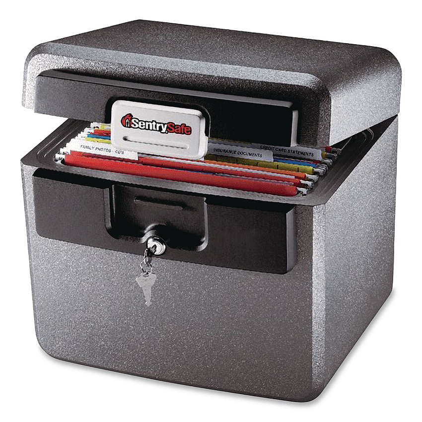 Sentry Safe Fire-Resistant/Waterproof Safe with Key, 15.5 x 13.5 x 14.3. 0.65 cu ft, Gray (651875)