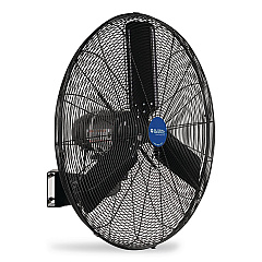 Global Industrial 2 Speed Oscillating Outdoor Rated Wall Mount Fan, 30" (292451)