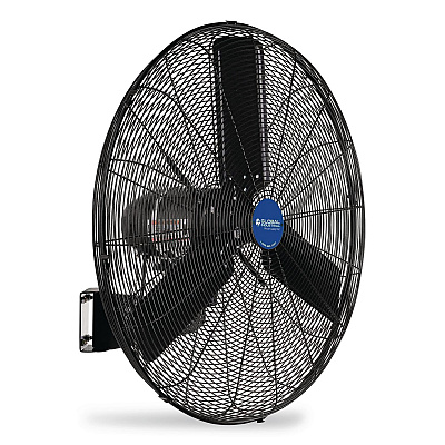 Global Industrial 2 Speed Oscillating Outdoor Rated Wall Mount Fan, 30" (292451)