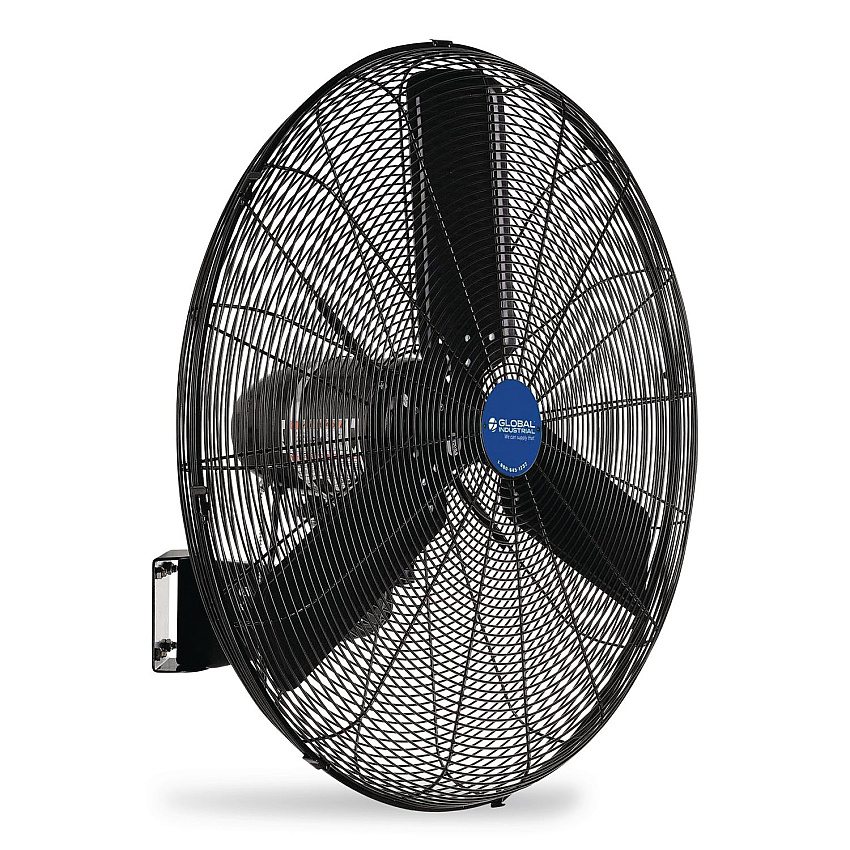 Global Industrial 2 Speed Oscillating Outdoor Rated Wall Mount Fan, 30" (292451)