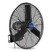 Global Industrial 2-Speed Oscillating Outdoor Rated Wall Mount Fan, 24" (292450)