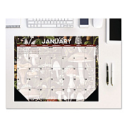 Mushrooms Large Monthly Desk Pad Calendar, 22 x 17, Multicolor Sheets, Black Headband/Corners, 12-Month (Jan to Dec) 2026 (57247)