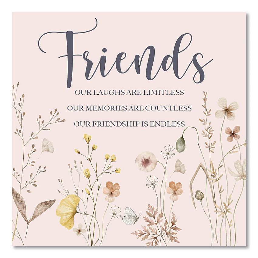 Friends Hardcover Book, 96 Pages (49786)