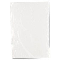 Inteplast Group Food Bags, 10" x 14", Clear, 1,000/Carton (IBSPBR1014)
