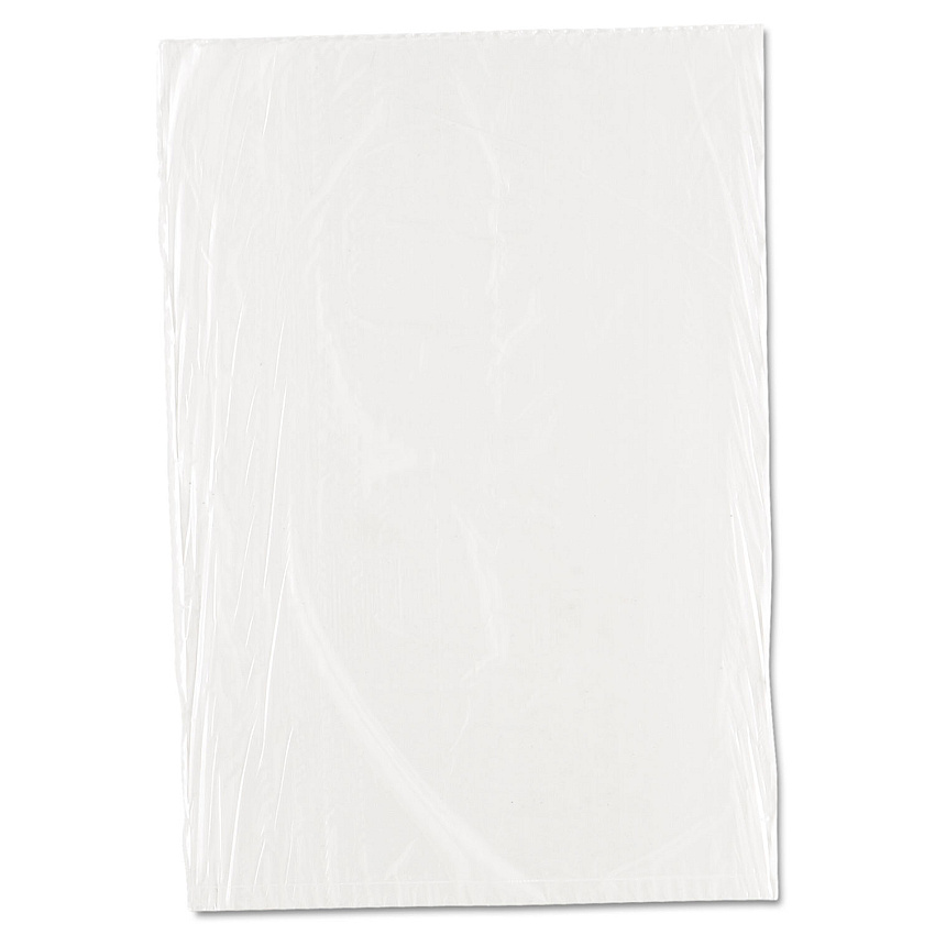 Inteplast Group Food Bags, 10" x 14", Clear, 1,000/Carton (IBSPBR1014)