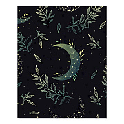 Floral Moon Monthly Planner, 9.5 x 7.5, Black Cover, 12-Month (Jan to Dec): 2026 (57551)