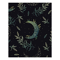 Floral Moon Monthly Planner, 9.5 x 7.5, Black Cover, 12-Month (Jan to Dec): 2026 (57551)