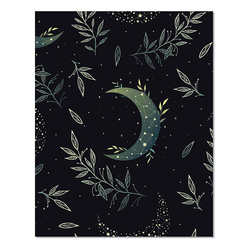 Floral Moon Monthly Planner, 9.5 x 7.5, Black Cover, 12-Month (Jan to Dec): 2026 (57551)