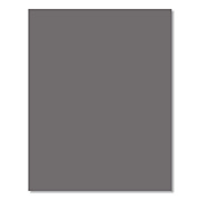 Basic Gray Booklet Monthly Planner, 9.5 x 7.5, Gray Cover, 12-Month (Jan to Dec): 2026 (57858)