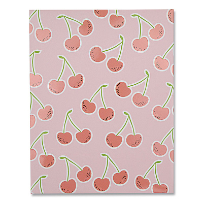 DesignWorks Ink Fruit Themed Laminated Two-Pocket Folder, Randomly Assorted Designs, 3-Hole Punched, 11 x 8.5, Randomly Assorted Colors (TPFA114ST)