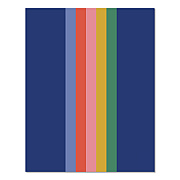 Bold Stripe Monthly Planner, 9.5 x 7.5, Multicolor Cover, 12-Month (Jan to Dec): 2026 (58510)