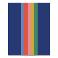 Bold Stripe Monthly Planner, 9.5 x 7.5, Multicolor Cover, 12-Month (Jan to Dec): 2026 (58510)