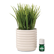 Lifelines Evaporative Aromatherapy Essential Oil Grass Plant Diffuser with Fir Needle and Pine Essential Oil, 6.2 x 9.5, White/Green (111608)