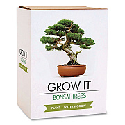 Bonsai Tree Grow Kit (GR200067)