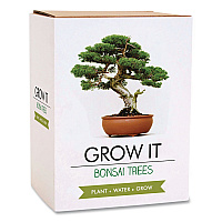 Bonsai Tree Grow Kit (GR200067)