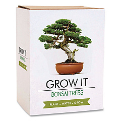 Bonsai Tree Grow Kit (GR200067)