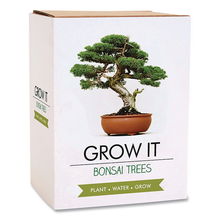 Bonsai Tree Grow Kit (GR200067)