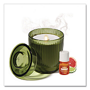 Lifelines Aromatherapy Essential Oil Flameless Candle Diffuser, Grapefruit and Bergamot Essential Oil, 5.5 x 5.5 x 5.5, Olive (LL111621)