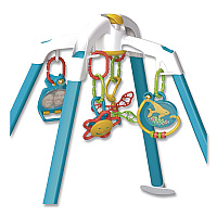 Play Gym, Ages Infant to 18 Months (NS0700)