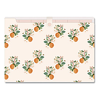 Blue Sky 7-Tab Plastic Accordion File, 7 Sections, Snap Closure, Top Tabs, Legal Size, Oranges Light (155609)