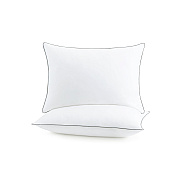 Host & Home 2 Pack Bed Pillow Queen 20x30, Case Of 8 (HH-2PK-PIL-QN)