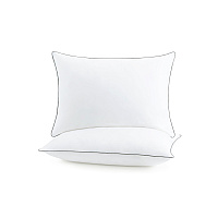 Host & Home 2 Pack Bed Pillow Queen 20x30, Case Of 8 (HH-2PK-PIL-QN)