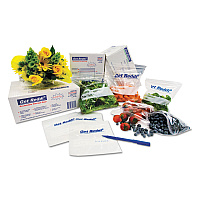 Inteplast Group Food Bags, 4.5 gal, 10" x 4" x 20", Clear, 1,000/Carton (IBSPB100420R)