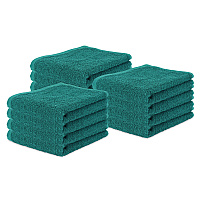 Terry Polishing Hand Towel 16x27 Hunter Green, Pack Of 12 (P-N030-HG1627-4)