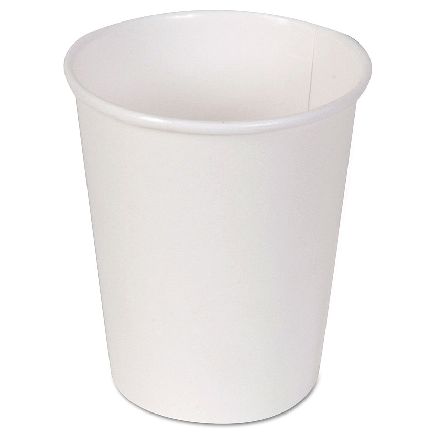 Dixie Paper Hot Cups, 10 oz, White, 50/Sleeve, 20 Sleeves/Carton (DXE2340W)