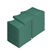 Mariposa Poly Spun Napkin 20x20 Green, Pack Of 25 (PNP-NAP-GREEN-25)