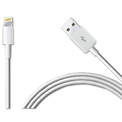 Case Logic Apple Lightning Cable, 10 ft, White (BTHCLLPCA002WT)