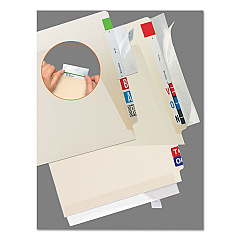 Tabbies Self-Adhesive Label/File Folder Protector, Strip, 2 x 11, Clear, 100/Pack (TAB68387)