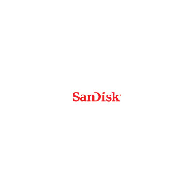Sandisk Sn530 Pcie M.2 2280 256gb Client Ssd (SDBPNPZ-256G)