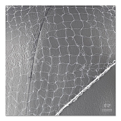 AmerCareRoyal Lightweight Latex-Free Hairnets, Nylon, 24", White, 144/Box (RPPRPH144LTWPK)