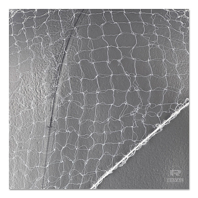 AmerCareRoyal Lightweight Latex-Free Hairnets, Nylon, 24", White, 144/Box (RPPRPH144LTWPK)
