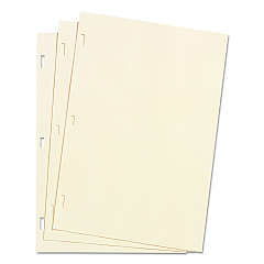 Wilson Jones Looseleaf Minute Book Ledger Sheets, 14 x 8.5, Ivory, Loose Sheet 100/Box (WLJ90130)