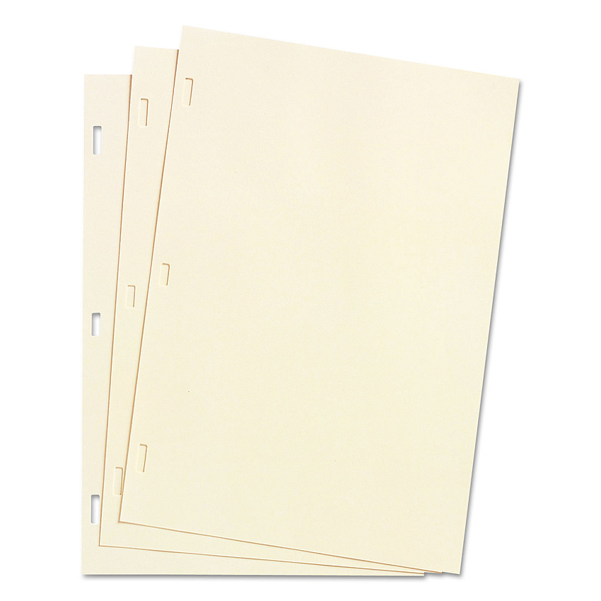 Wilson Jones Looseleaf Minute Book Ledger Sheets, 14 x 8.5, Ivory, Loose Sheet 100/Box (WLJ90130)
