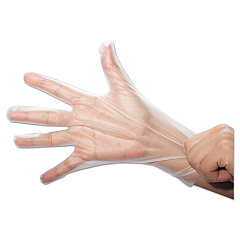 SemperGuard FoodSafe Stretch Poly Gloves, Clear, Medium, Polyethylene, 2,000/Carton (SEZHPEF203)