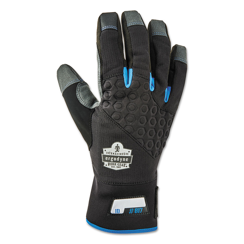 ergodyne Proflex 817 Reinforced Thermal Utility Gloves, Black, X-Large, 1 Pair (EGO17355)