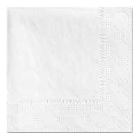 Hoffmaster Beverage Napkins, 2-Ply 9 1/2 x 9 1/2, White, Embossed, 1000/Carton (HFM180300)