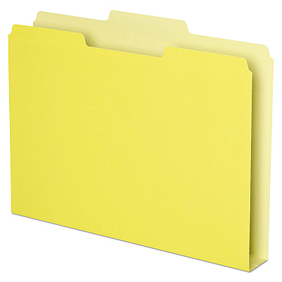 Pendaflex Double Stuff 1/3 Tab Cut Letter Top Tab File Folder (PFX54456)