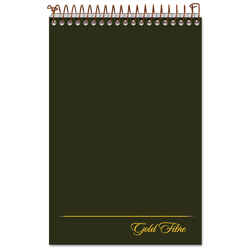 Ampad Gold Fibre Steno Pads, Gregg Rule, Designer Green/Gold Cover, 100 White 6 x 9 Sheets (TOP20806)